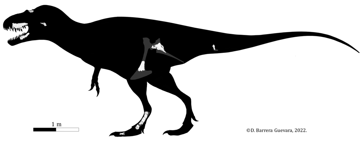 Теперь вы понимаете, почему лабоканию кидает от одной группы к другой