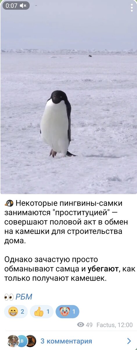 Вариант смеси познавательного с юмором