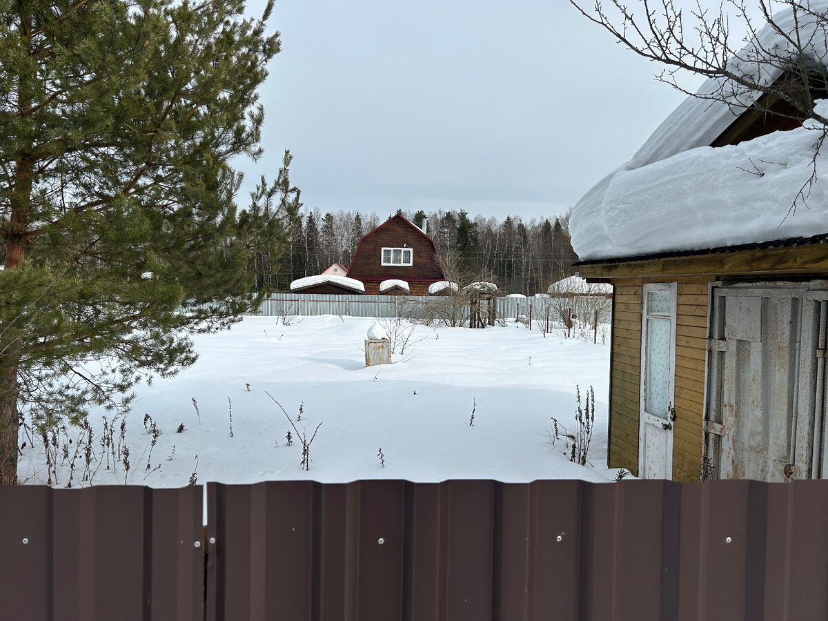 66 о садоводческих товариществах. Садоводческие огороднические и дачные. Фз 66 с комментариями. Законы для садоводов. 66 о садоводческих товариществах.