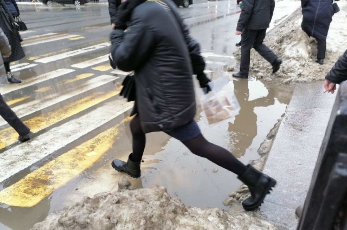    В марте в Рязанской области синоптики прогнозируют дефицит осадков