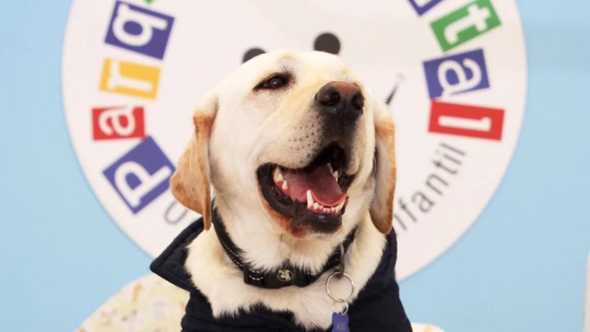    Стоматолог Альдо / hola.com