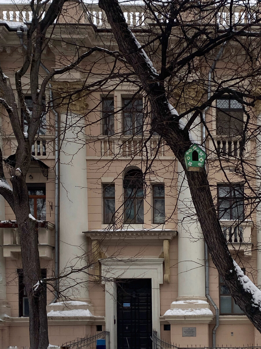 Милые скворечники на деревьях вокруг прудов. Фотография автора