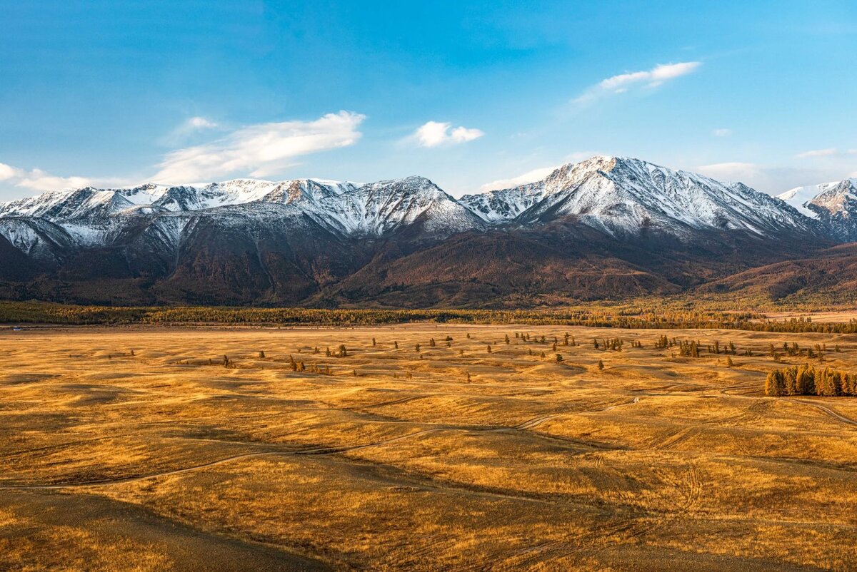 источник фото - интернет