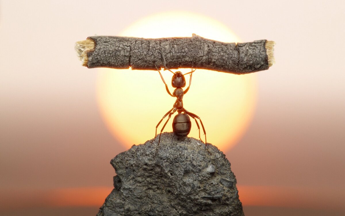 Вот примерно так я себя ощущаю))