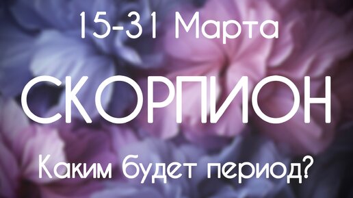 Скорпион ♏️ Каким будет период с 15 по 31 Марта 2024