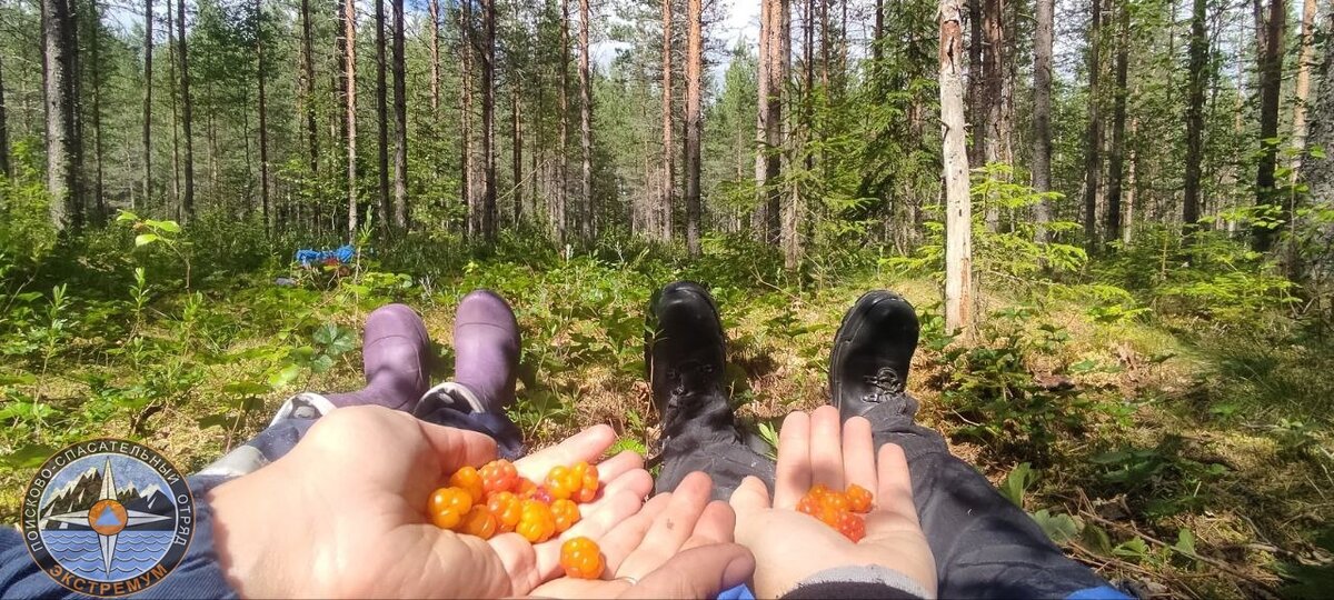 Перерыв в поисково-спасательной работе. 