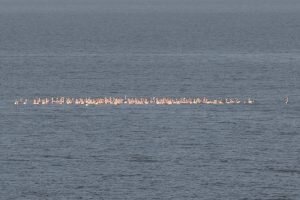    Фото: Анна Кузьменкова \ VK.com writ3