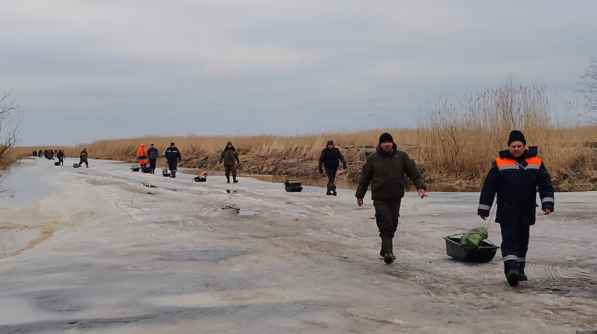 Фото и видеозаписи здесь и далее из архива автора