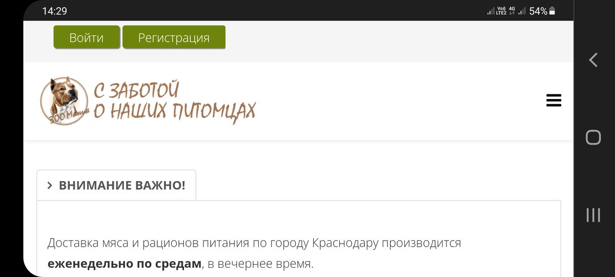 Так выглядит наш сайт