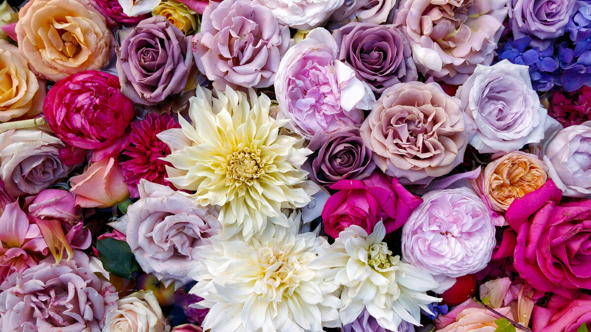 Ромашки, лилии, орхидеи, розы, тюльпаны - кажется, что цветы можно перечислять бесконечно, найдутся на любой вкус.