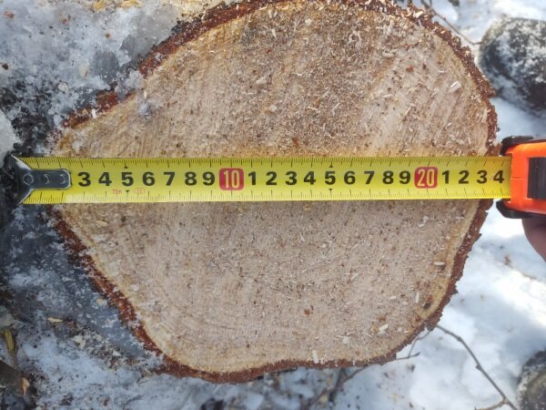 Мужчина вывозил деревья на своем тракторе