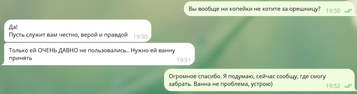 скрин автора