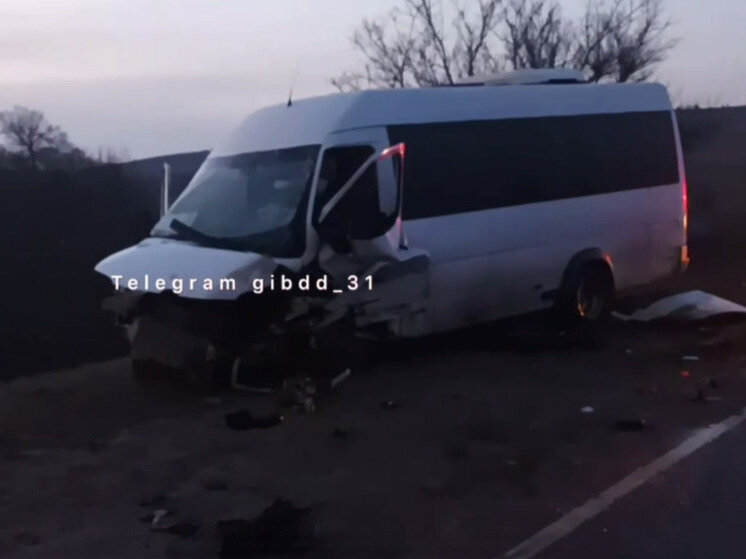 102 автобус белгород 102 автобус белгород
