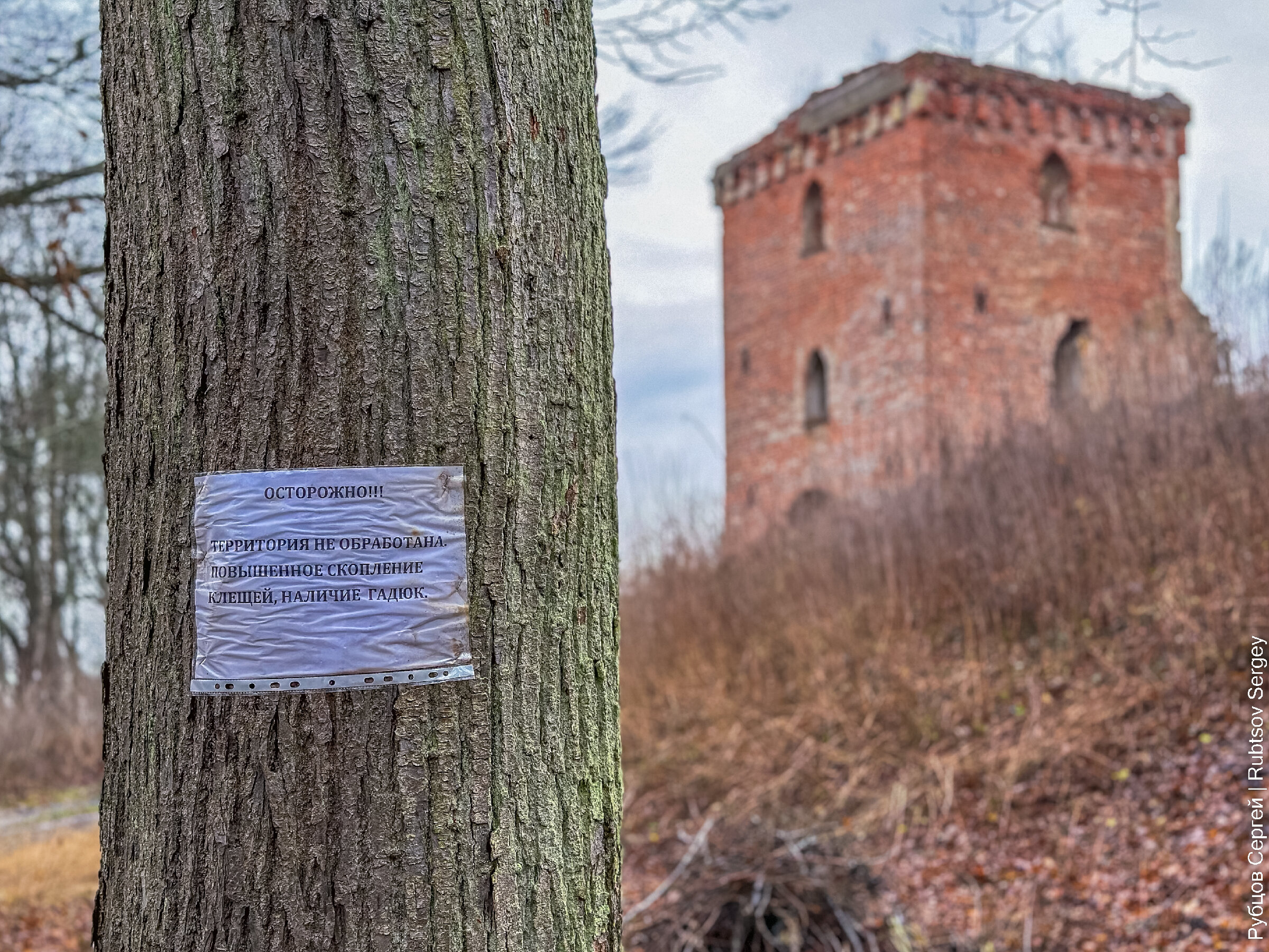 Замок Гросс Вонсдорф: Осторожно, змеи! 