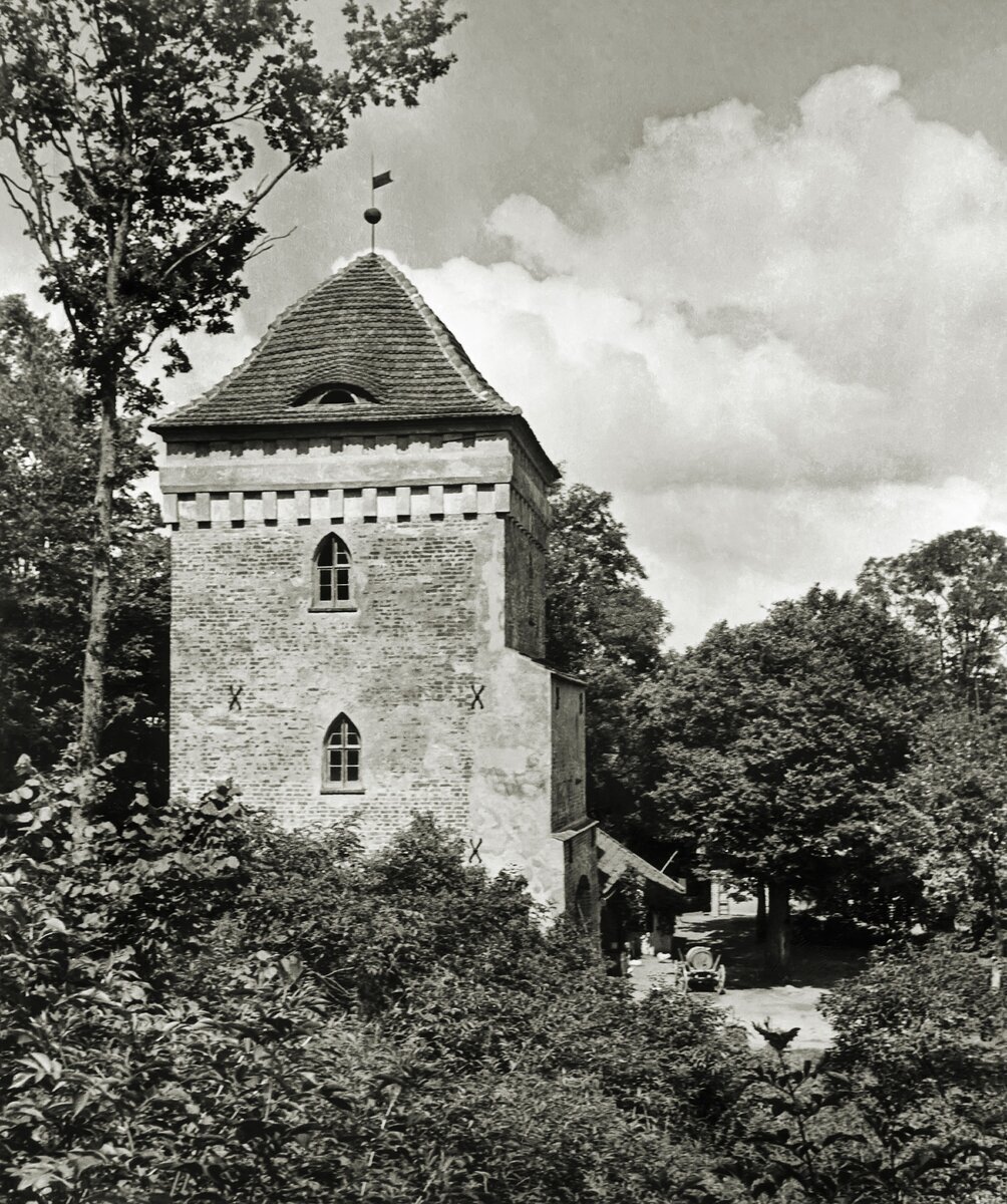 Замок Гросс Вонсдорф: Осторожно, змеи! 