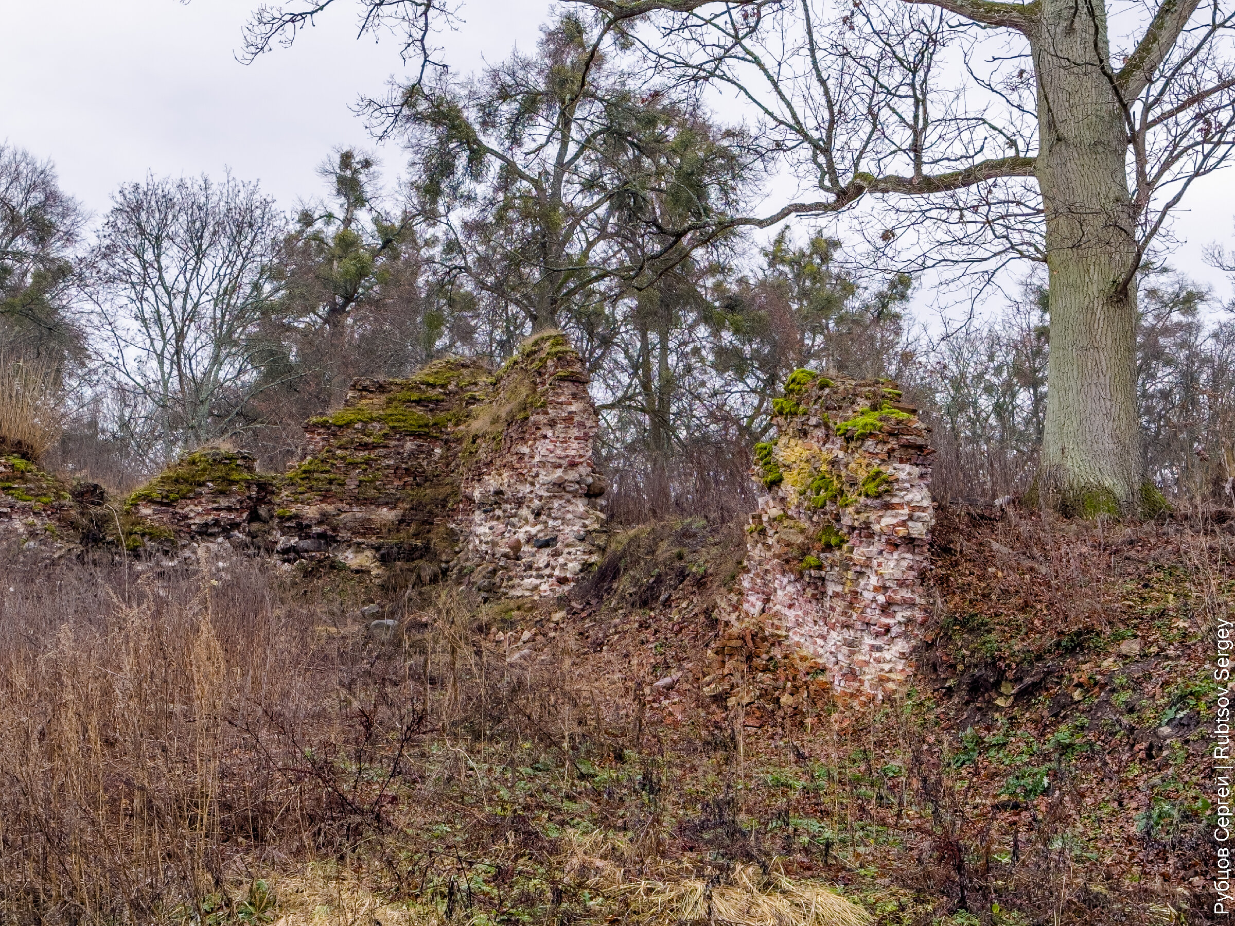 Замок Гросс Вонсдорф: Осторожно, змеи! 