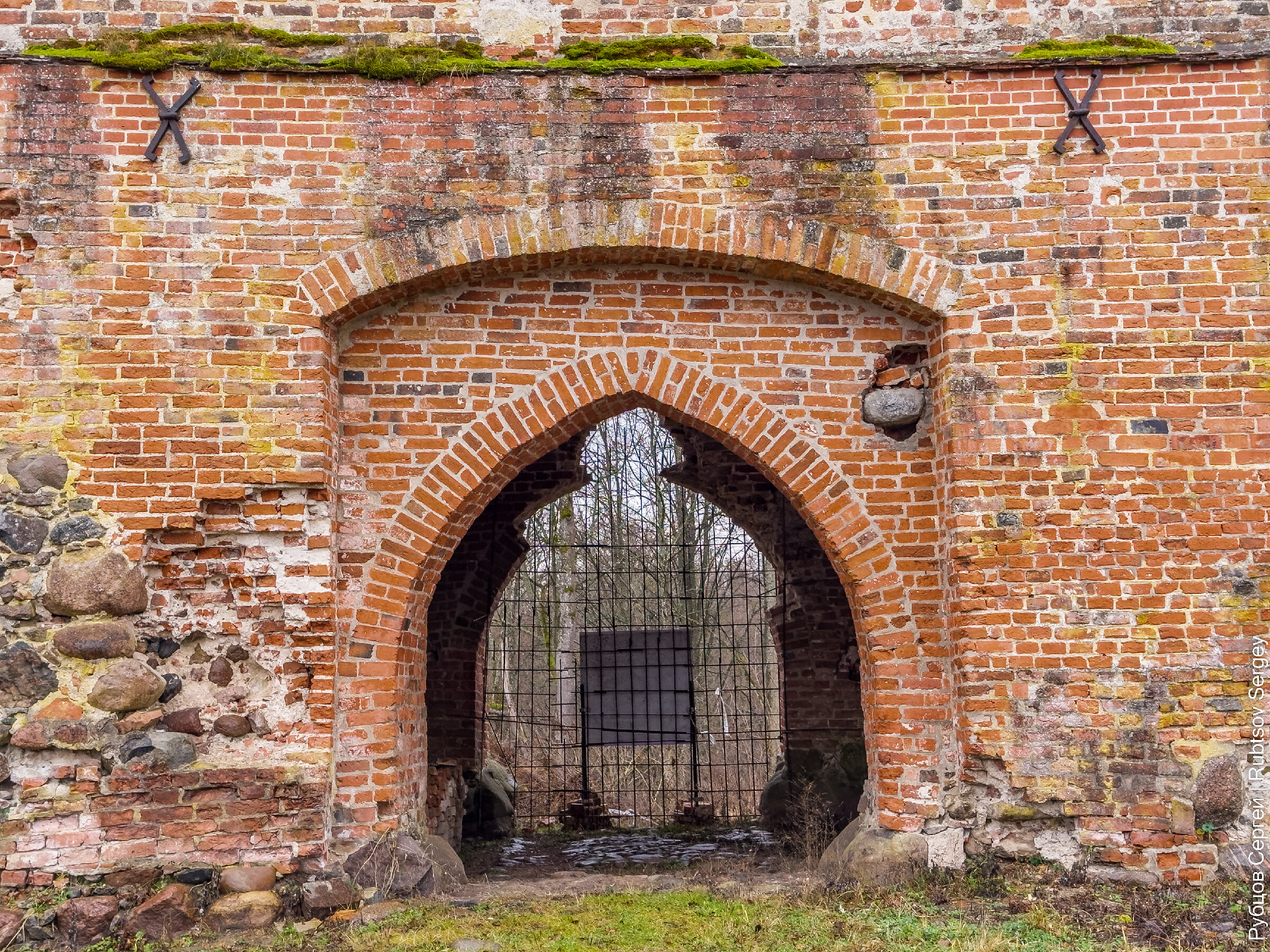Замок Гросс Вонсдорф: Осторожно, змеи! 