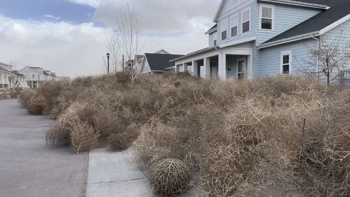 К дому пройти довольно затруднительно