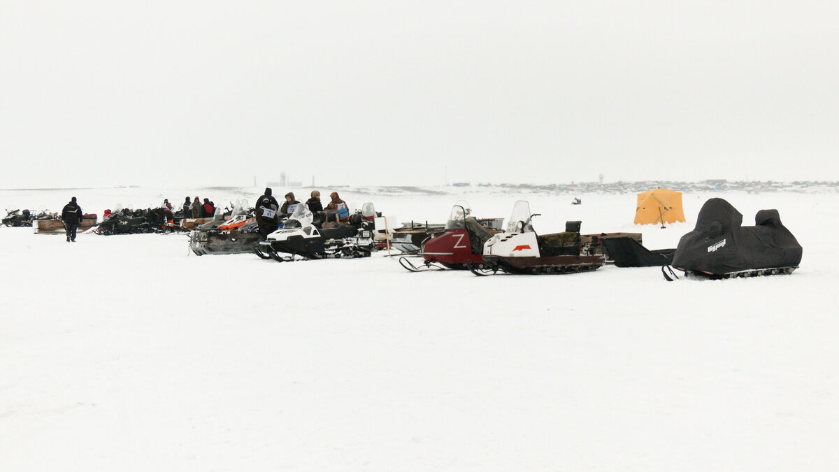 весенний спиннинг. рыболовный календарь. нерест леща. кумжа мурманской области. когда начинается рыбалка.