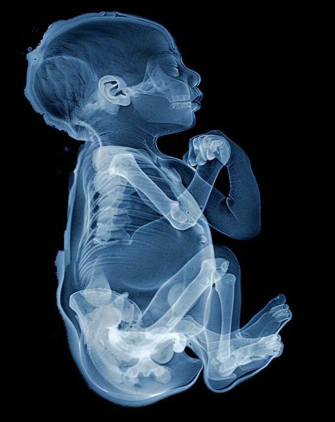 Изображение сгенерировано нейросетью Midjourney