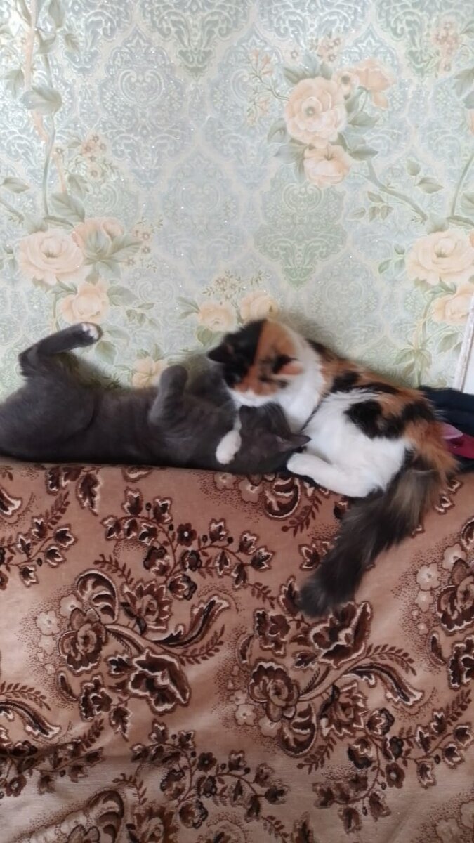 Два хулигага