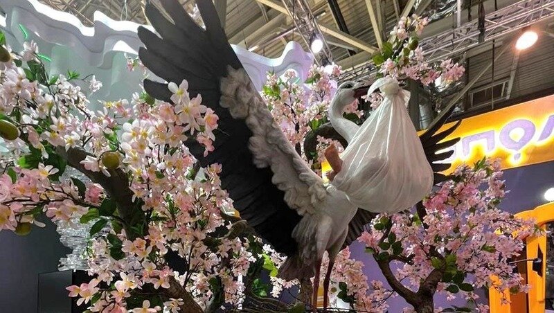      Фото: Telegram-канал губернатора Владимира Владимирова