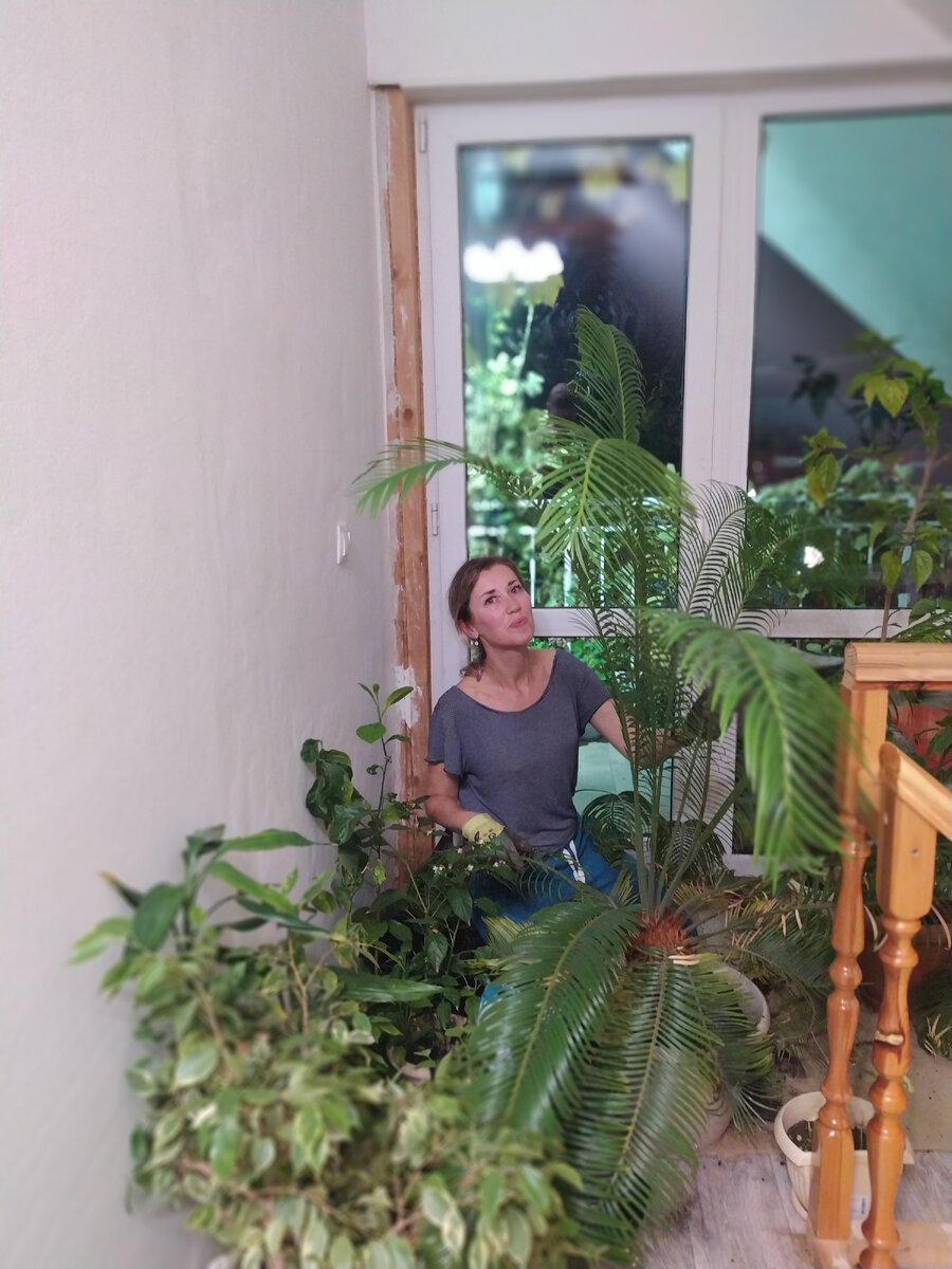 Часть моей оранжереи