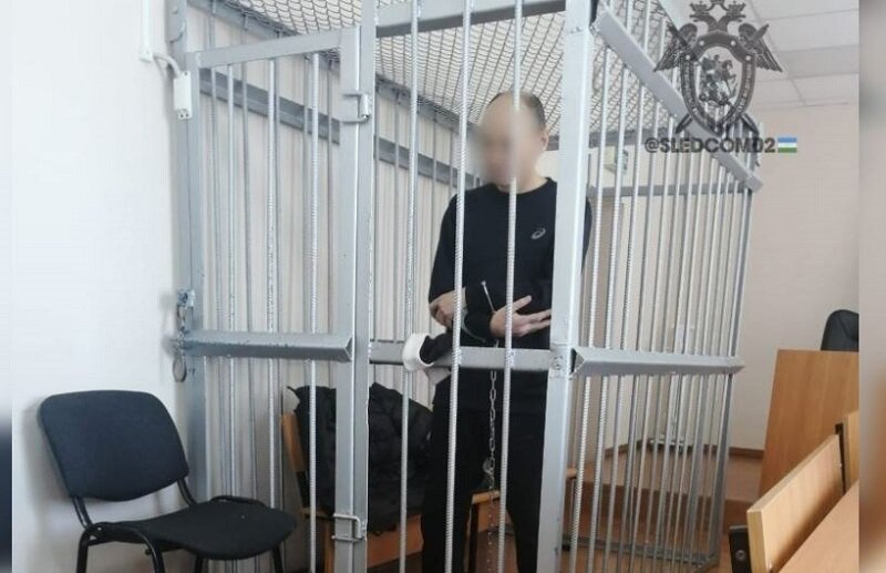    Убийца арестован на 2 месяца