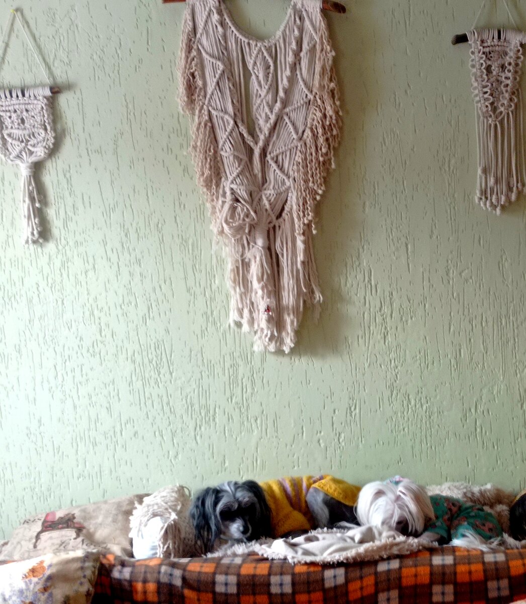 Мои вдохновители Тося и Мишелька