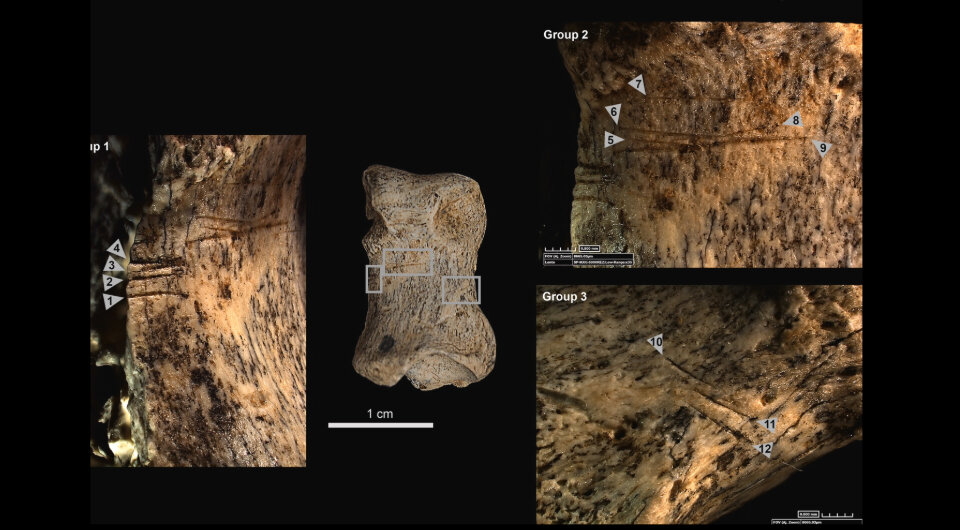   Abel Moclan et al. / Quaternary Science Reviews, 2024