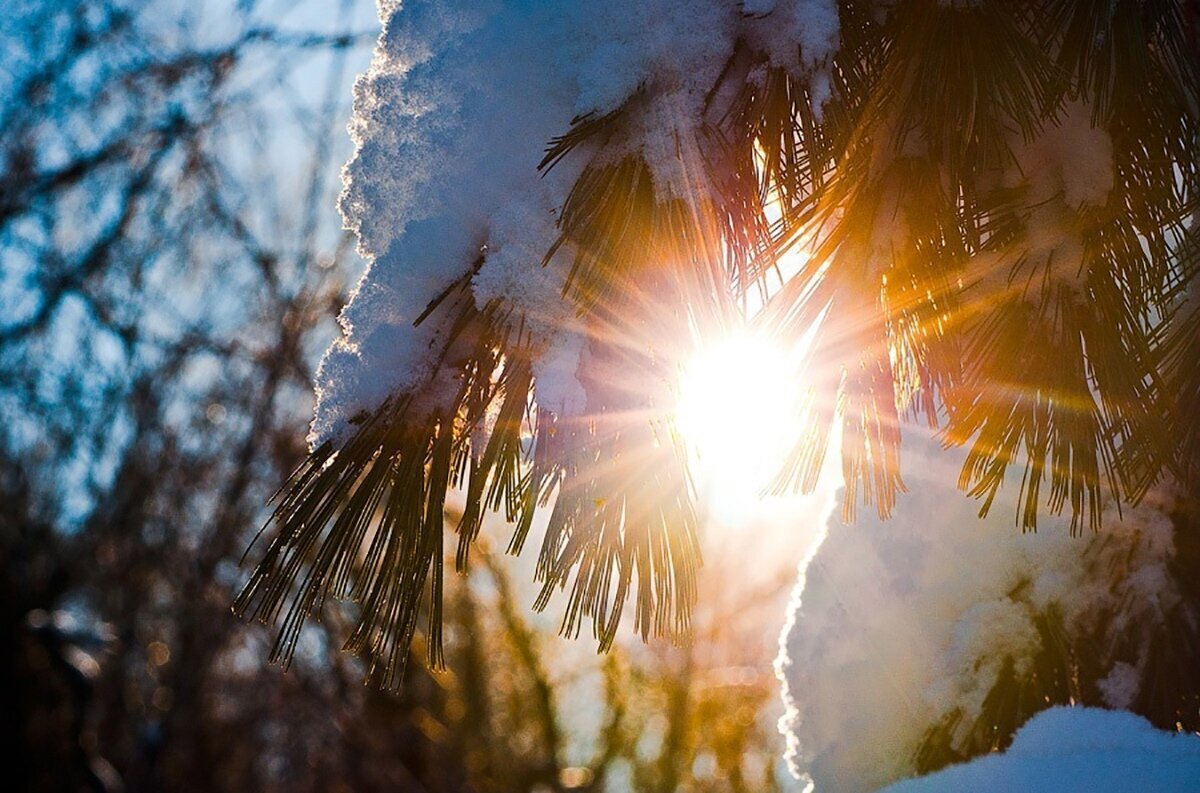 После долгой зимы нам так не хватает яркого солнца. 