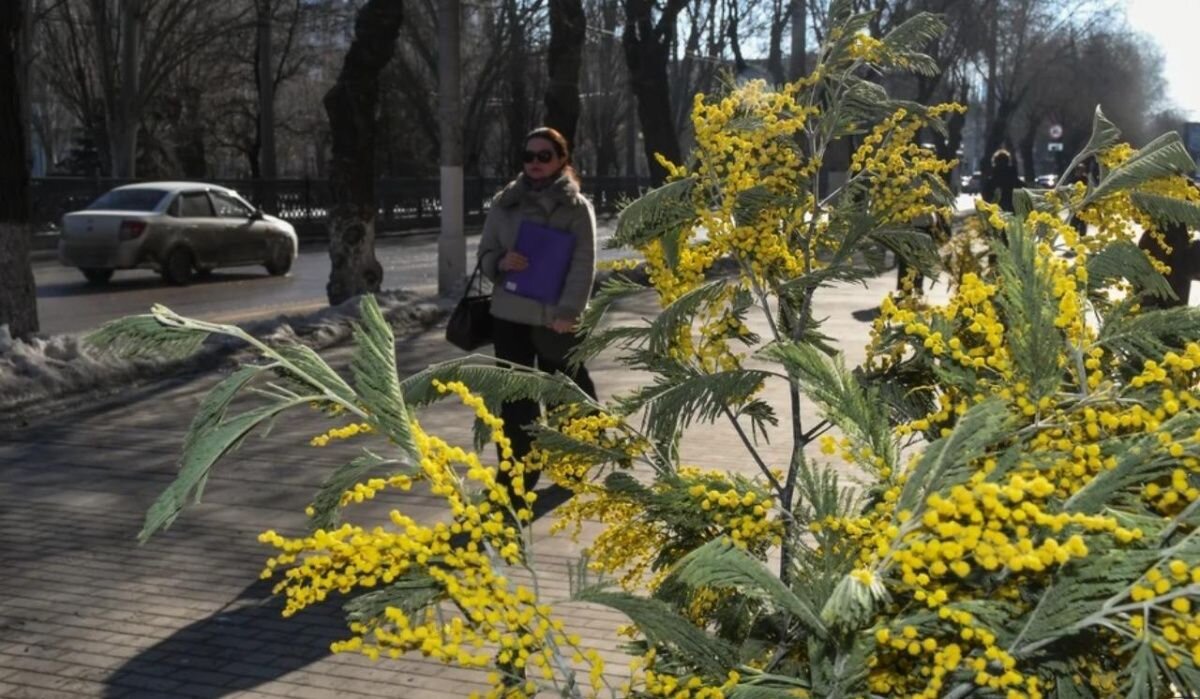     Волгоград. Источник: volgograd.kp.ru Автор фото: Геннадий Биссенов