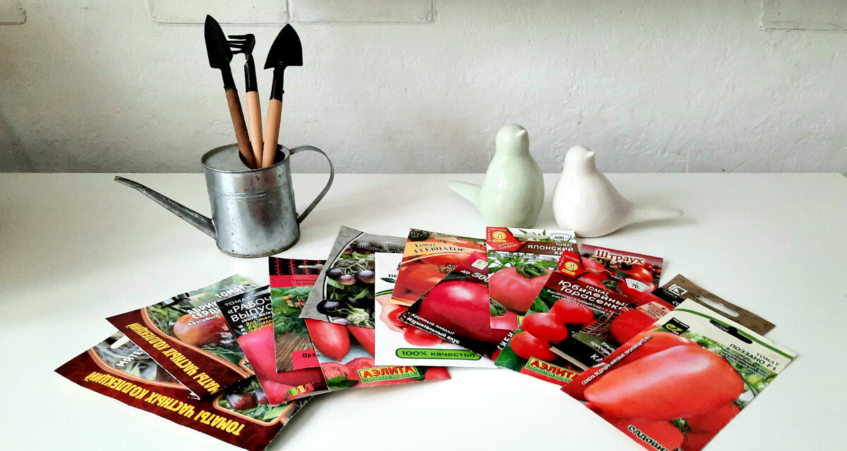 Фото автора. Муки выбора: чего посадить и сколько.