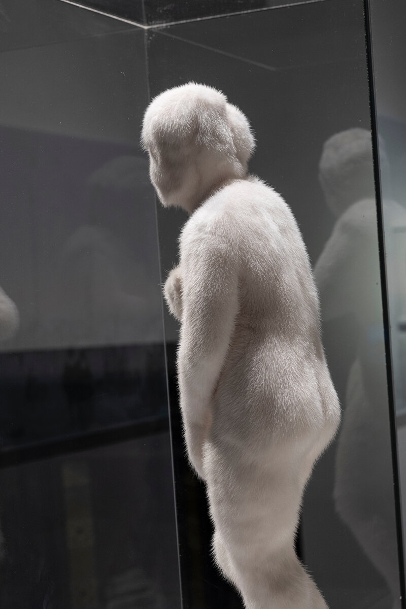 Фонд культуры Екатерина. Выставка «Зима, и все опять впервые», 2023/2024. Куратор Игорь Волков, отдел новейших течений Третьяковской галереи.