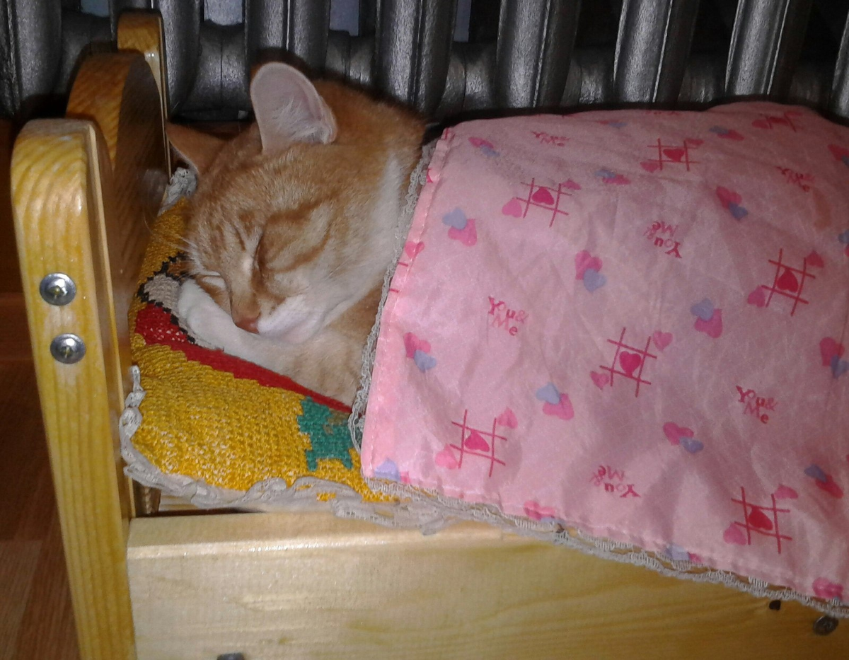 Как я сплю, зная, что в комментариях будут люди, которым нравятся мои статьи.