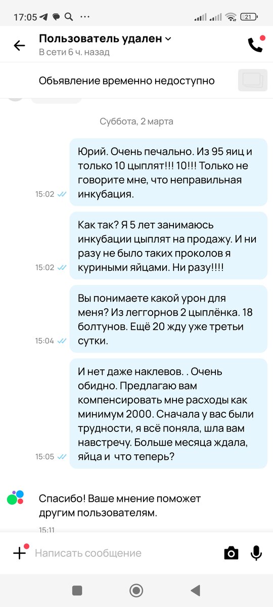 На момент написания был 10 цыпляток. Сейчас 13.