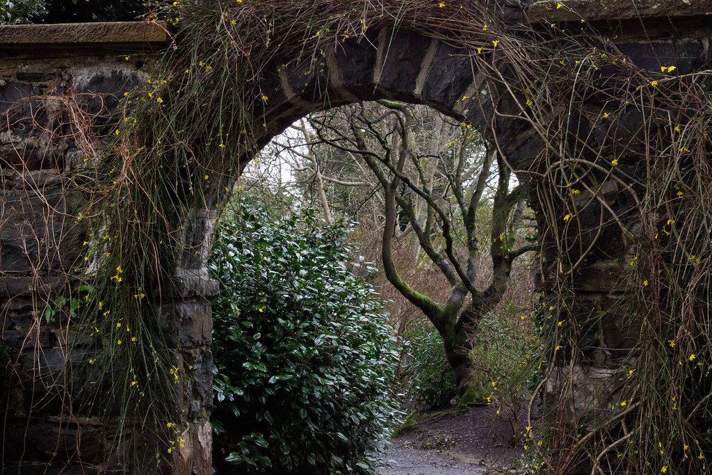 яндекс картинки