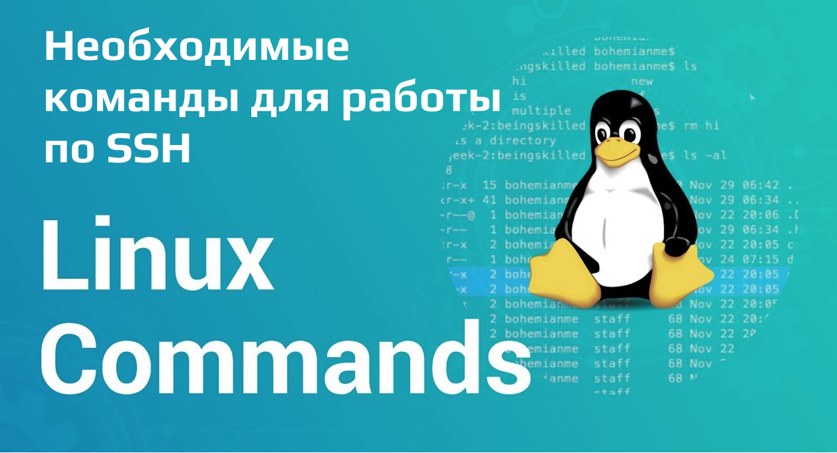 Самые популярные команды для работы по SSH