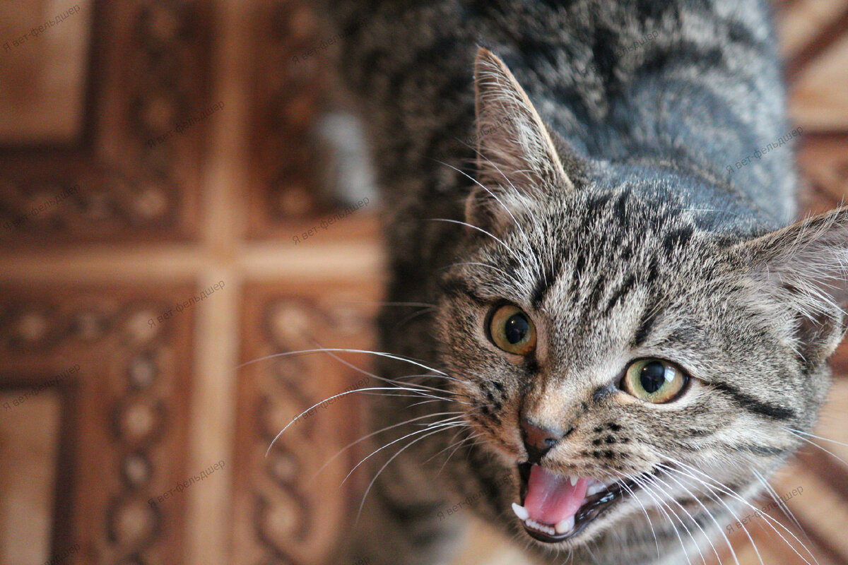 Фото автора.