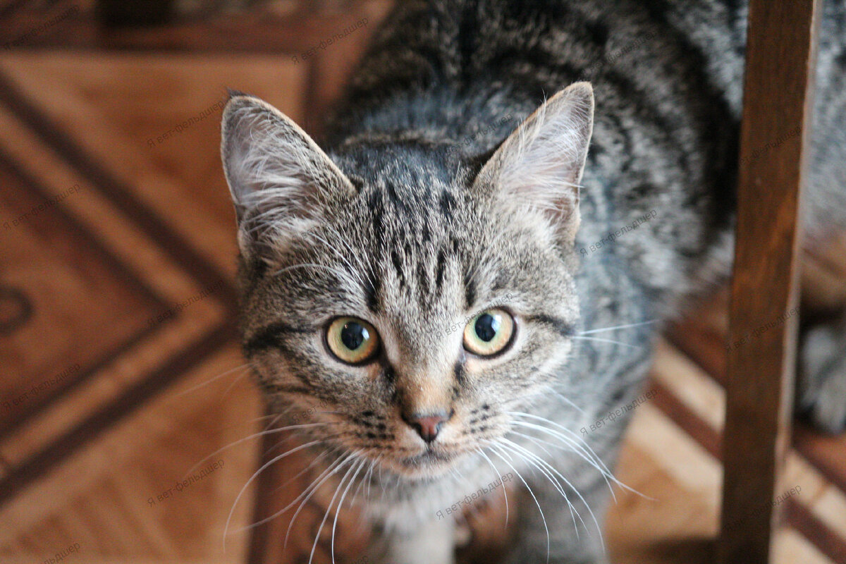 Фото автора.