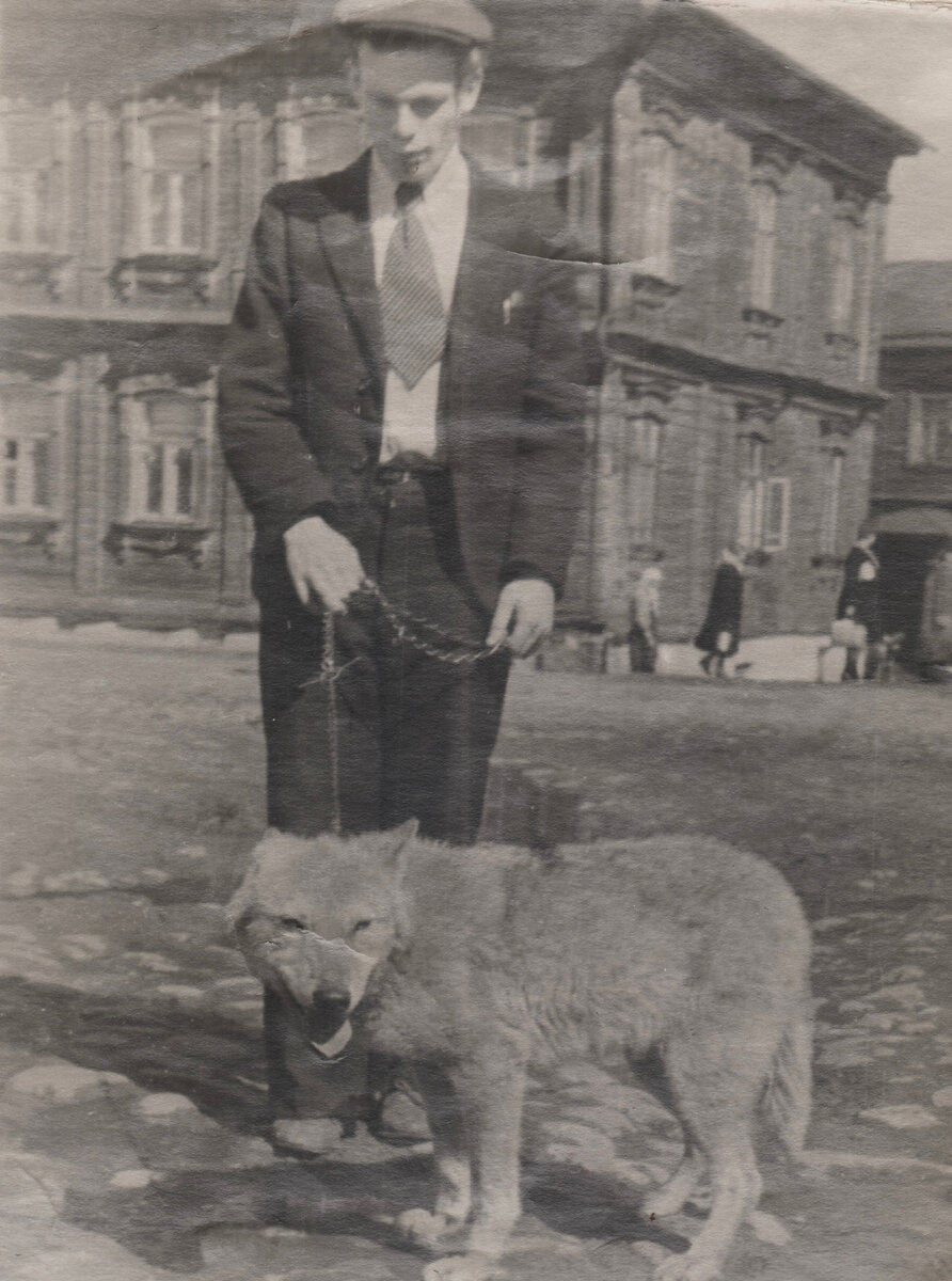 Александр Зевеке выгуливает волчонка в переулке Грибоедова, 1946-1956 годы, фото с сайта pastvu.com 