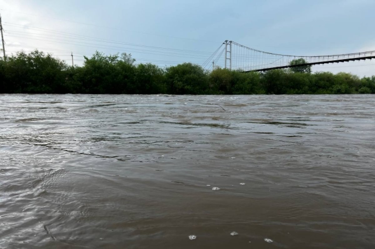    В Рязанской области вода в Оке поднялась с 1 марта на 6 см