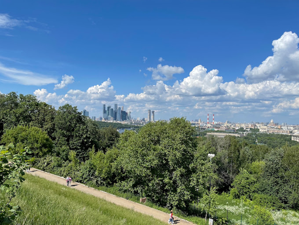Воробьёвы горы (природный заказник). Москва воробьевы горы. Канадка воробьевы горы. Смотровая мгу(воробьёвы горы). Панорама москвы воробьевы горы.