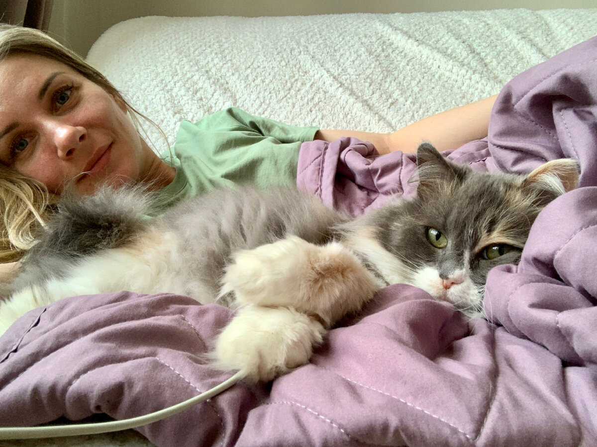 Миша - моя домашняя кошка, с которой началось мое знакомство с иммунодефицитом