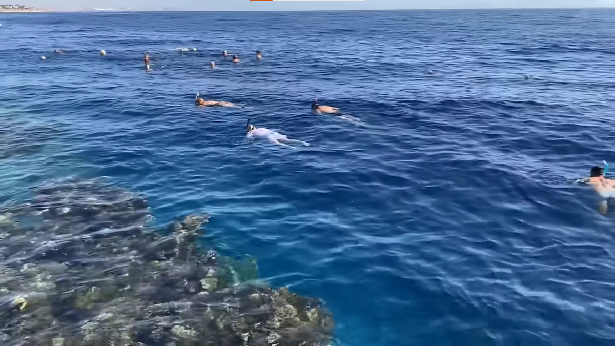 Горячая соска прогнулась рачком на берегу красного моря