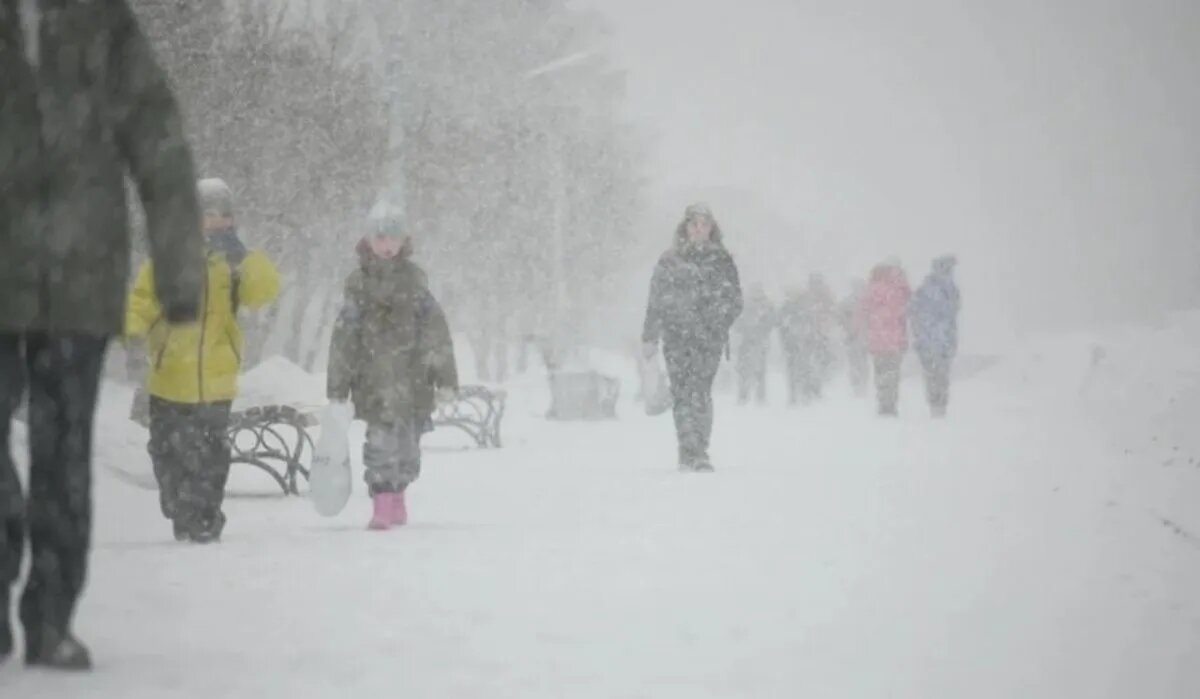 Снегопад в Башкирии. Источник: ufa.kp.ru Автор фото: Алексей Булатов