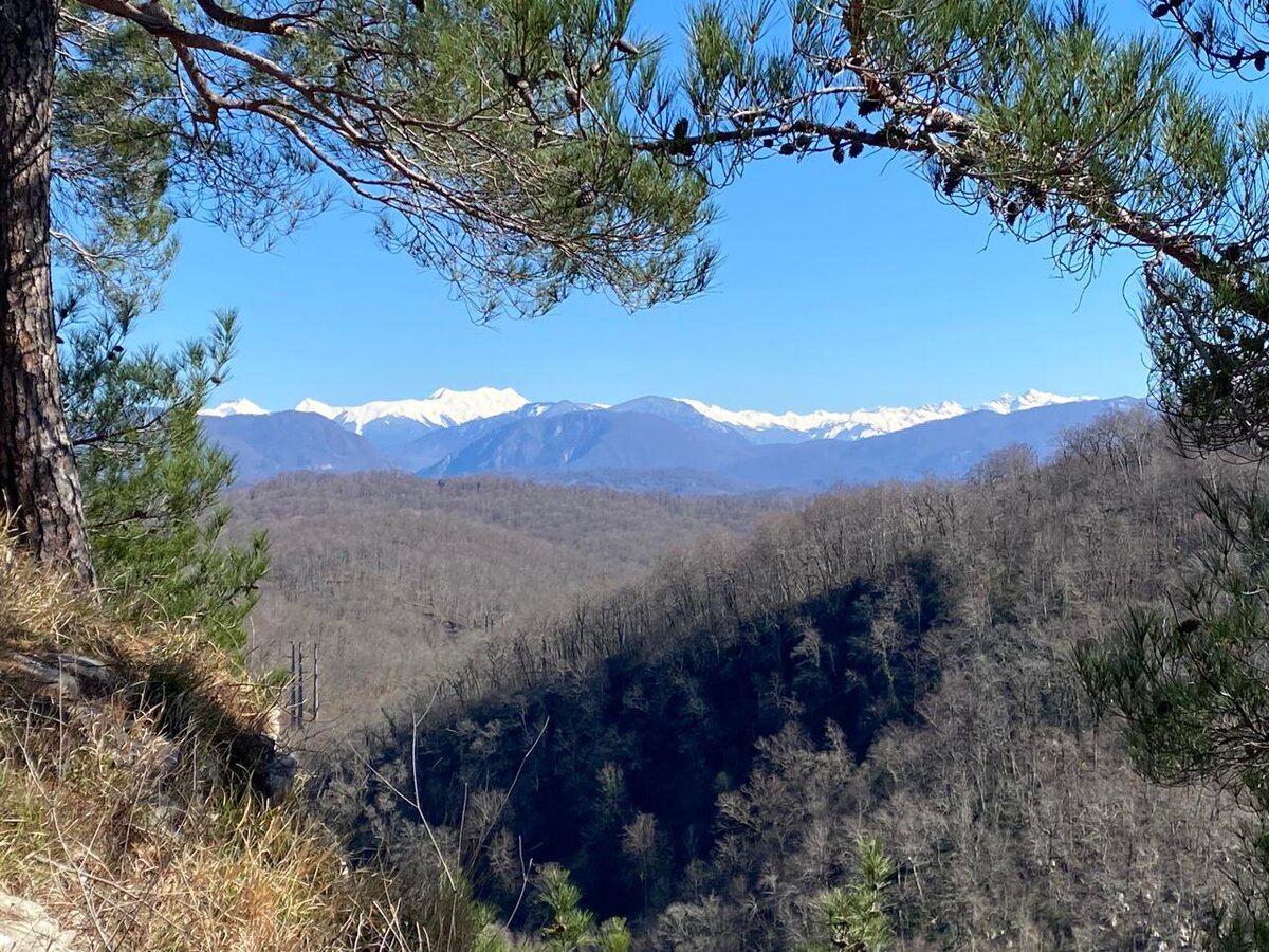 Сочи, горы турмаршруты. Лагонаки гора фишт. Гора эрцаху абхазия. Лысая гора сочи. Орлиная гора сочи.