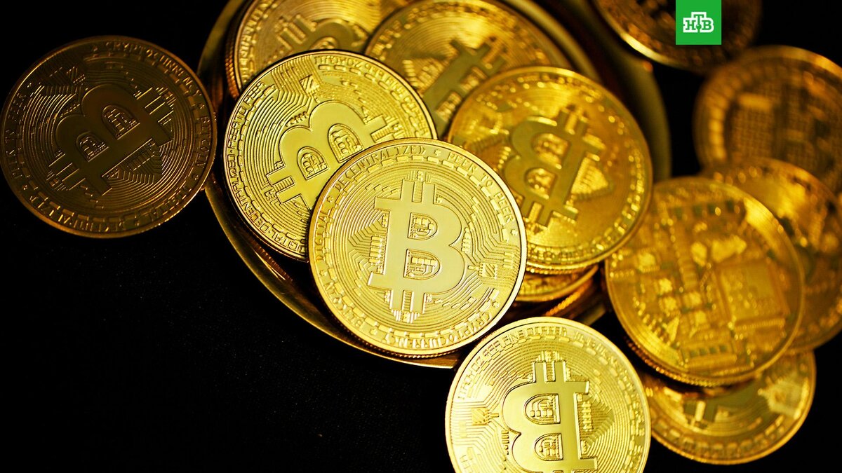    Фото: Kanchanara / unsplash.com