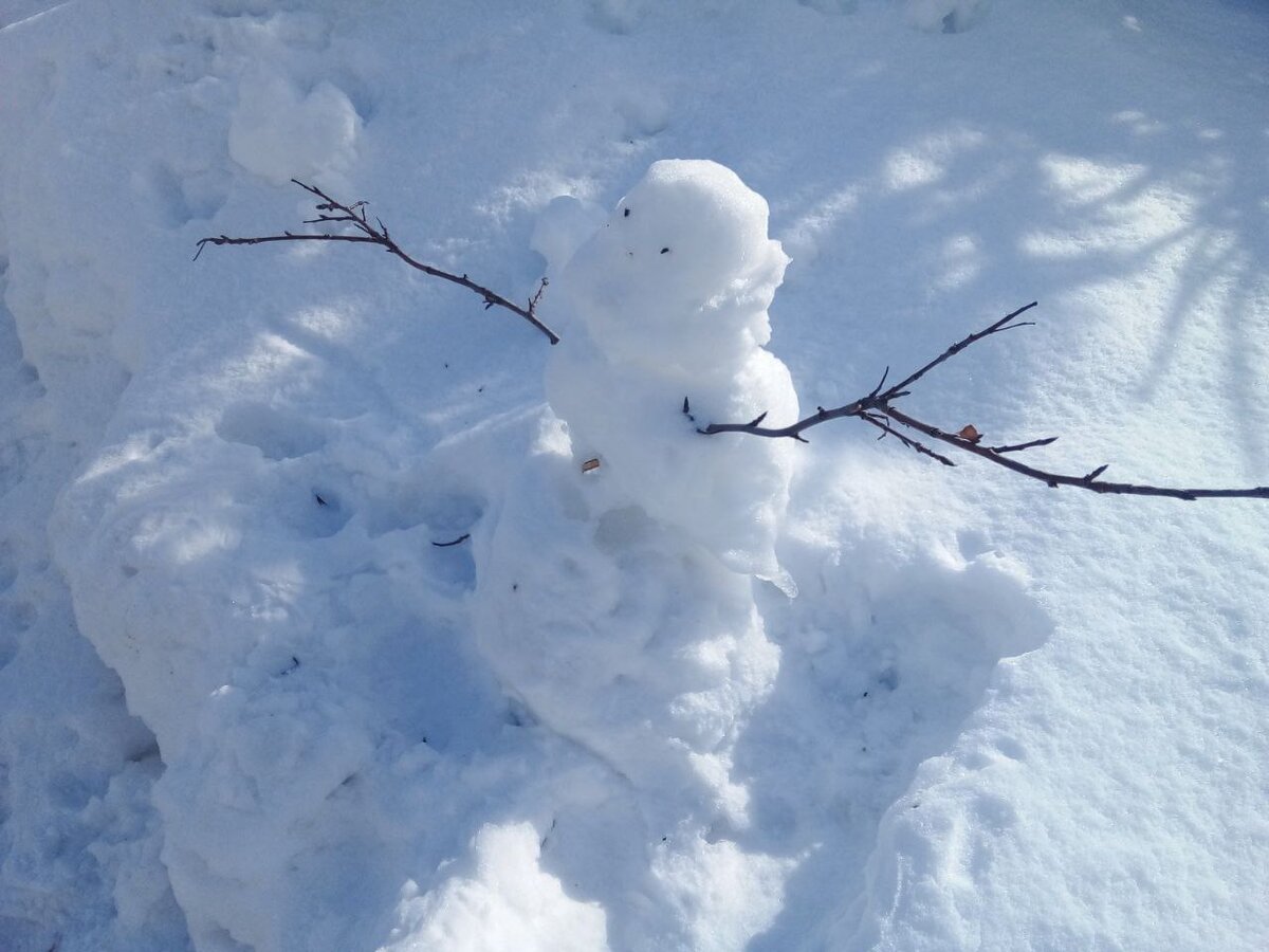 Последний снеговик. Фото из архива автора.