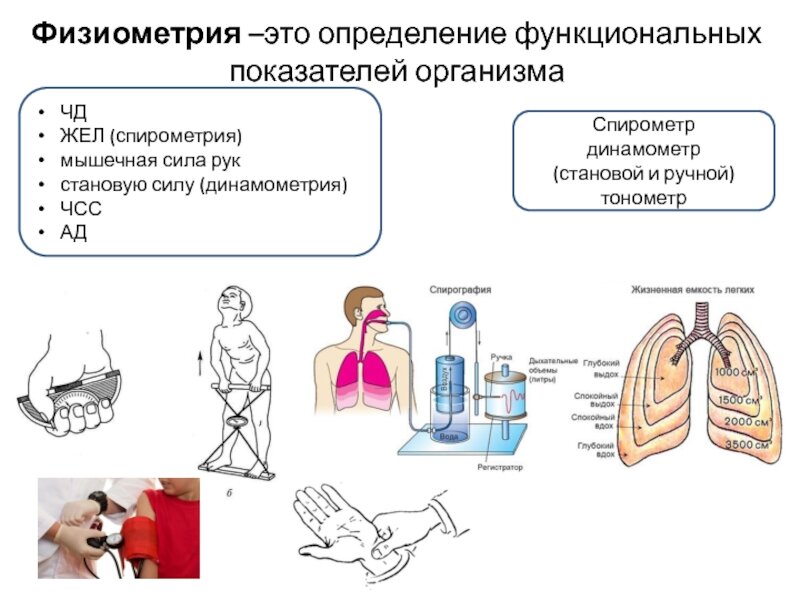 Физиометрия. Физиометрические методы. Что относят к показателям физического развития?. Соматоскопия показатели. К показателям физиометрии нельзя отнести.